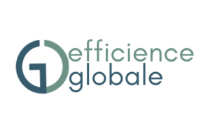 Logo Efficience Globale Blanc